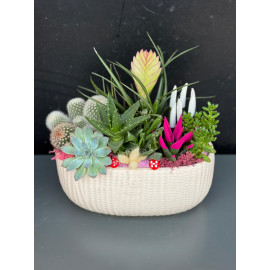 ÖZEL CANLI TERARYUM